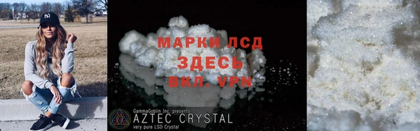 индика Арсеньев