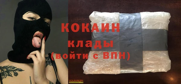 индика Арсеньев