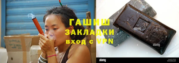 индика Арсеньев