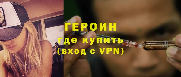 индика Арсеньев