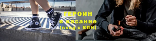 индика Арсеньев