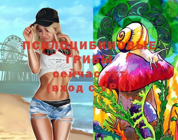 индика Арсеньев