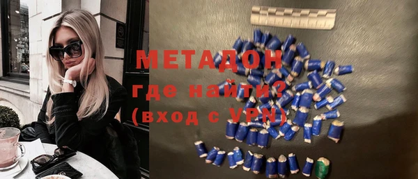 индика Арсеньев